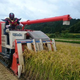 Illustration for article titled In Japan, Theres a Superhero Who...Plants Rice